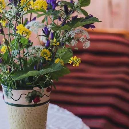 Pansiyon Kihnu Kuraga *