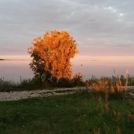 Kihnu Kuraga Lemsi
