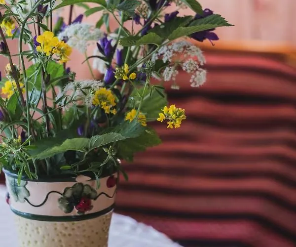 Kwatera prywatna Kihnu Kuraga *